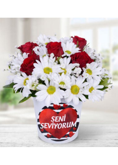 vazoda papatya gül seni seviyorum sticker