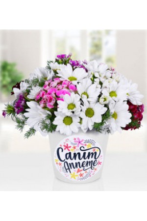 canım annem papatya