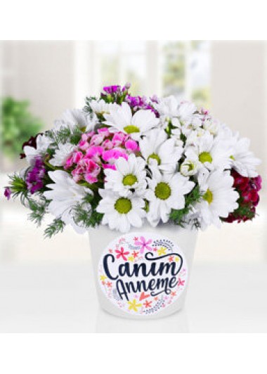 canım annem papatya