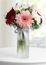 Malatya Vazoda Gerbera