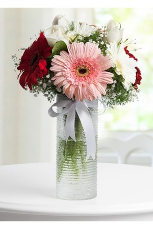 Malatya Vazoda Gerbera