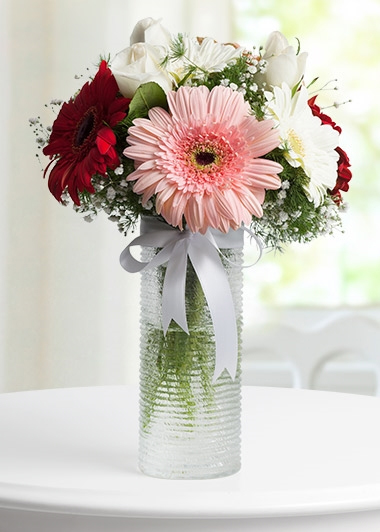 Malatya Vazoda Gerbera