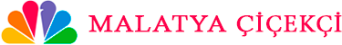 Malatya Çiçek | Malatya Çiçekçi